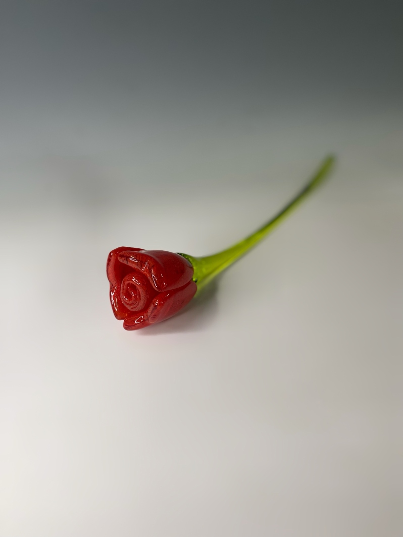 Red Rose IV